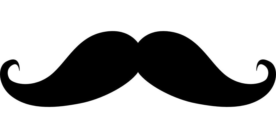 moustache-473661_960_720